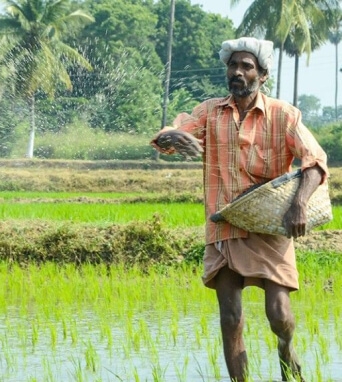 കാർഷിക വായ്പകൾ